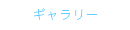 ギャラリー